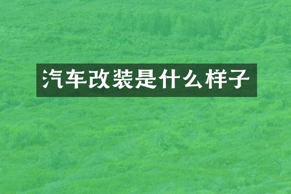汽车改装是什么样子
