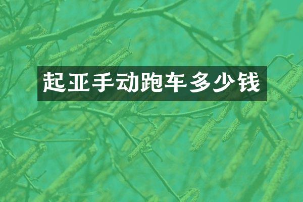 起亚手动跑车多少钱