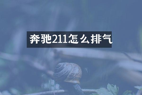 奔驰211怎么排气