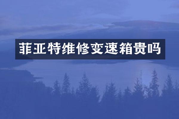 菲亚特维修变速箱贵吗