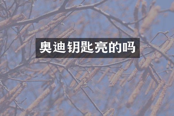 奥迪钥匙亮的吗