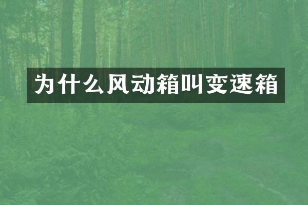为什么风动箱叫变速箱