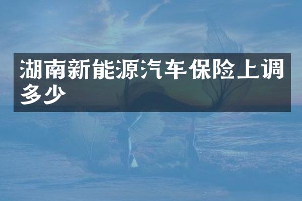 湖南新能源汽车保险上调多少