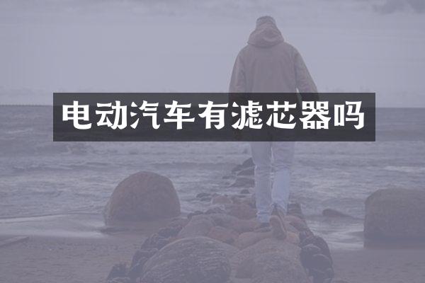 电动汽车有滤芯器吗