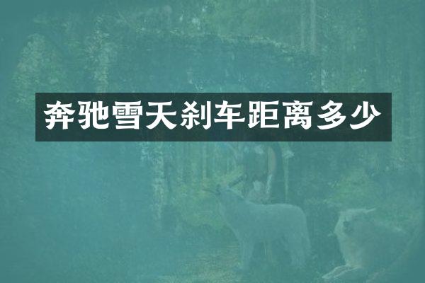 奔驰雪天刹车距离多少