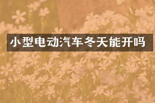 小型电动汽车冬天能开吗