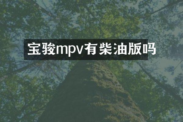 宝骏mpv有柴油版吗