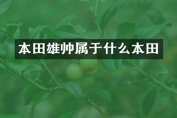 本田雄帅属于什么本田