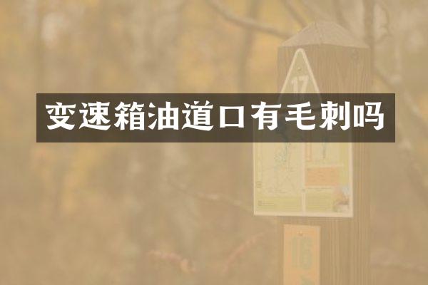 变速箱油道口有毛刺吗