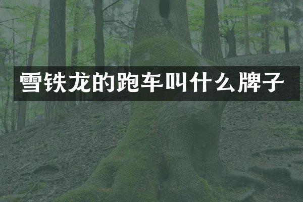 雪铁龙的跑车叫什么牌子