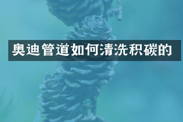 奥迪管道如何清洗积碳的