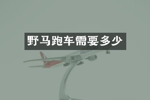 野马跑车需要多少