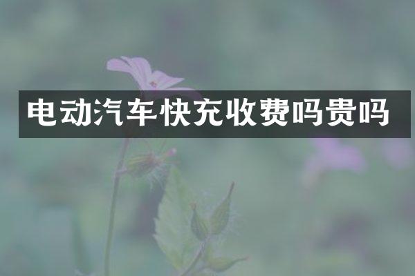 电动汽车快充收费吗贵吗