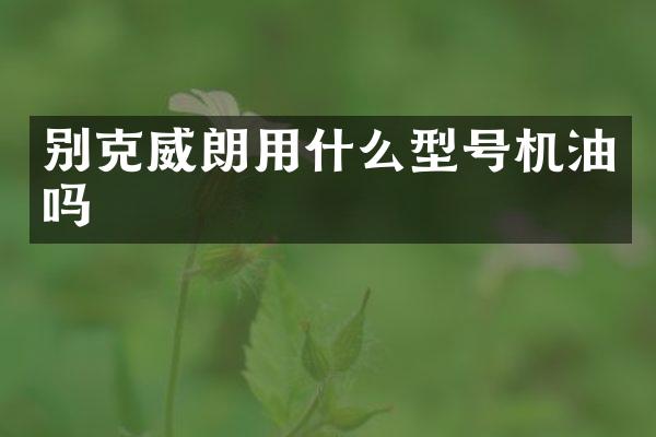 别克威朗用什么型号机油吗