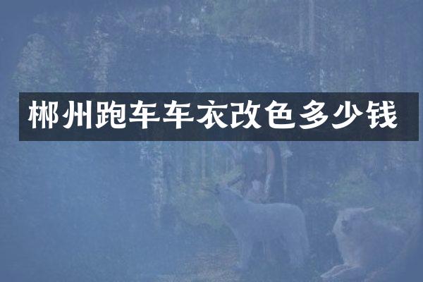 郴州跑车车衣改色多少钱