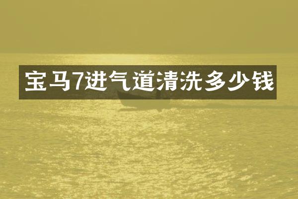 宝马7进气道清洗多少钱