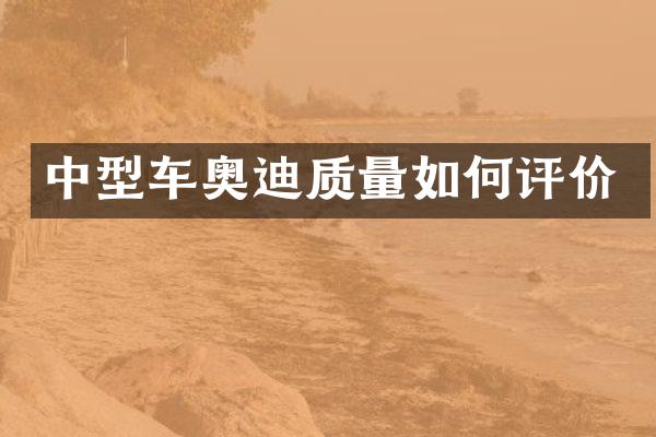 中型车奥迪质量如何评价