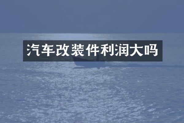 汽车改装件利润大吗