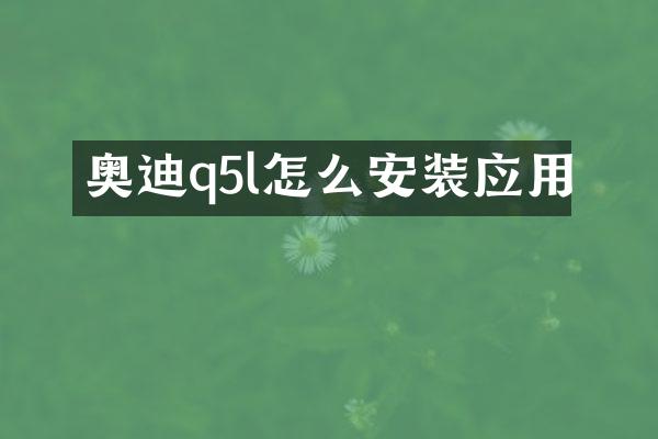 奥迪q5l怎么安装应用