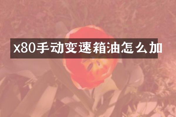 x80手动变速箱油怎么加