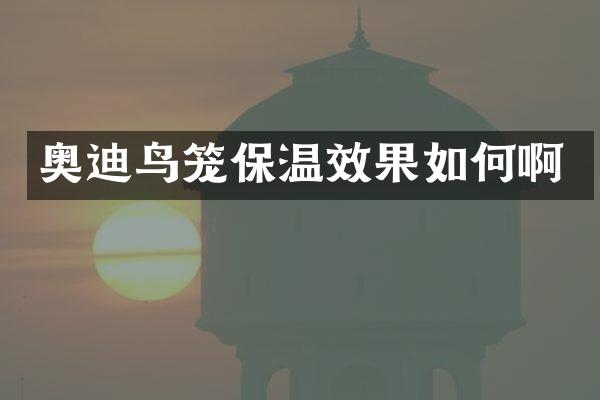 奥迪鸟笼保温效果如何啊