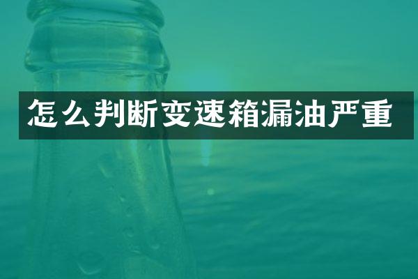 怎么判断变速箱漏油严重