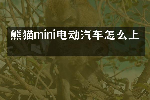 熊猫mini电动汽车怎么上牌