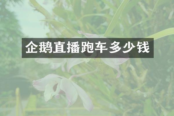 企鹅直播跑车多少钱