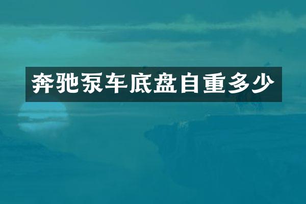 奔驰泵车底盘自重多少