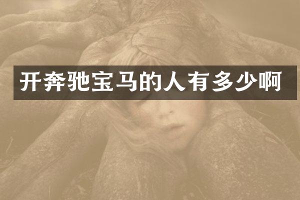 开奔驰宝马的人有多少啊