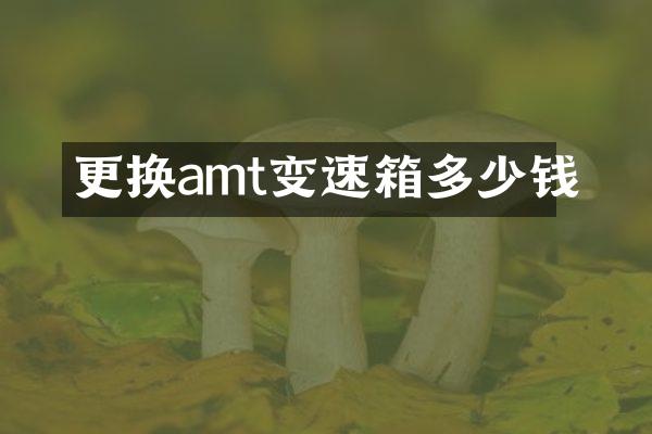 更换amt变速箱多少钱