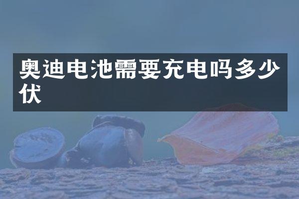 奥迪电池需要充电吗多少伏