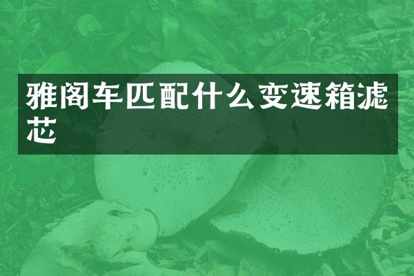 雅阁车匹变速箱滤芯