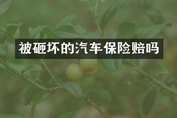 坏的汽车保险赔吗
