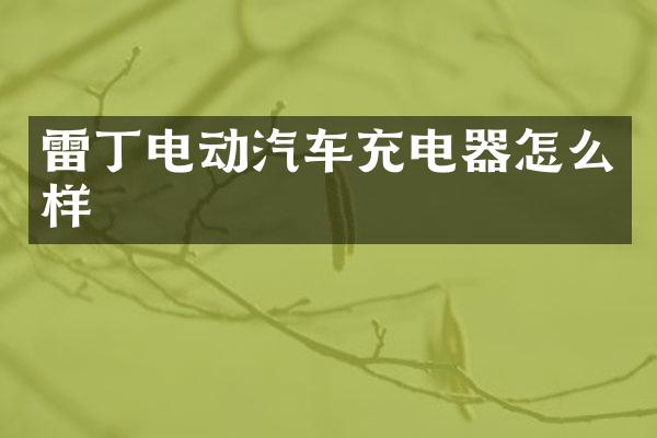 雷丁电动汽车充电器怎么样