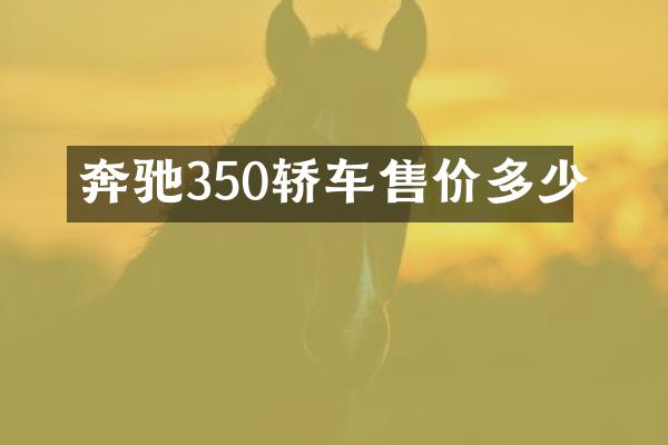 奔驰350轿车售价多少