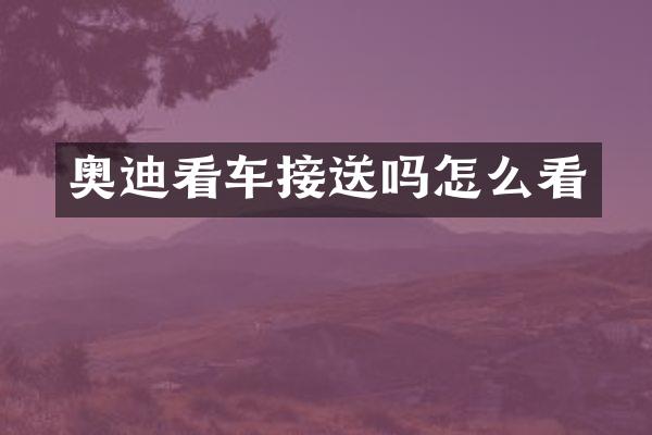 奥迪看车接送吗怎么看