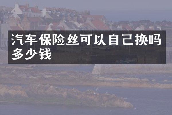 汽车保险丝可以自己换吗多少钱