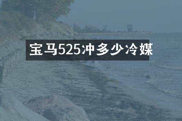 宝马525冲多少冷媒