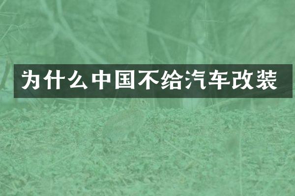 为什么中国不给汽车改装