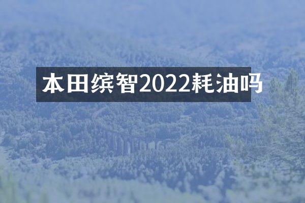 本田缤智2022耗油吗