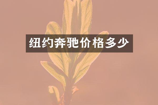 纽约奔驰价格多少