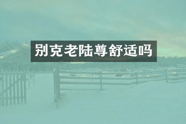 别克老陆尊舒适吗