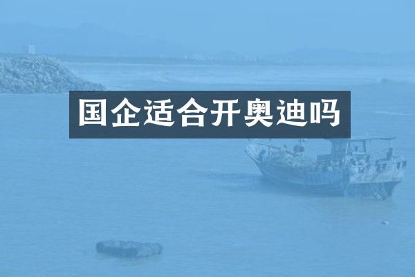 国企适合开奥迪吗