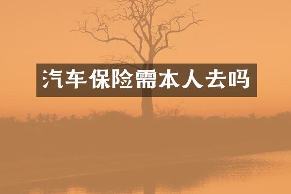 汽车保险需本人去吗