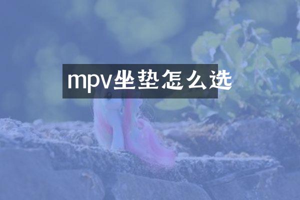 mpv坐垫怎么选
