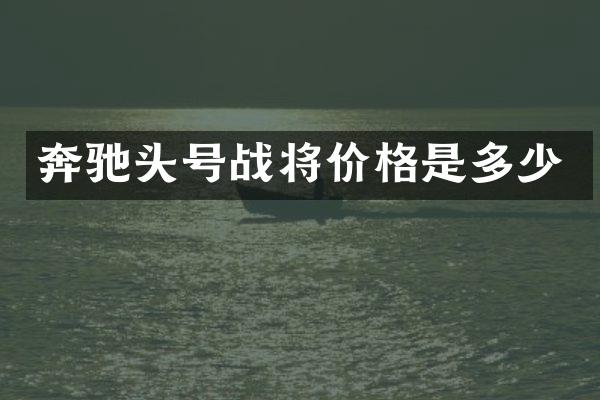 奔驰头号战将价格是多少