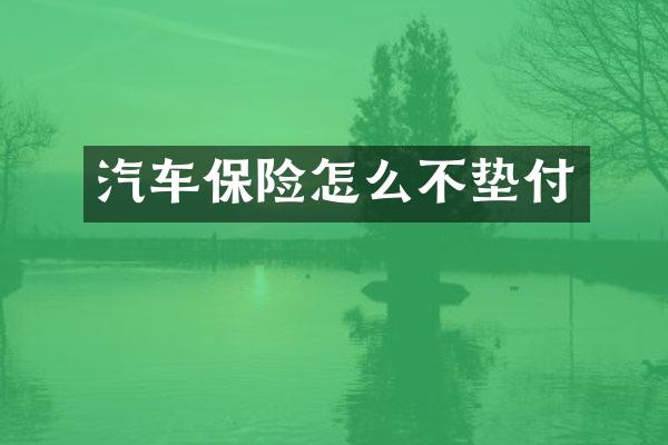 汽车保险怎么不垫付
