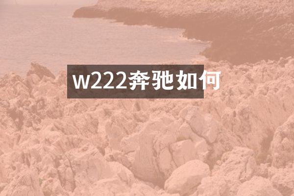 w222奔驰如何