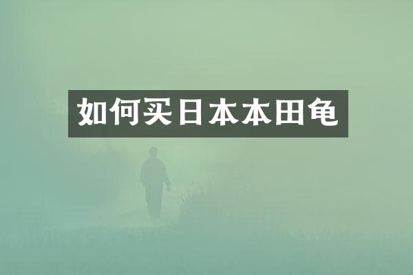 如何买日本本田龟